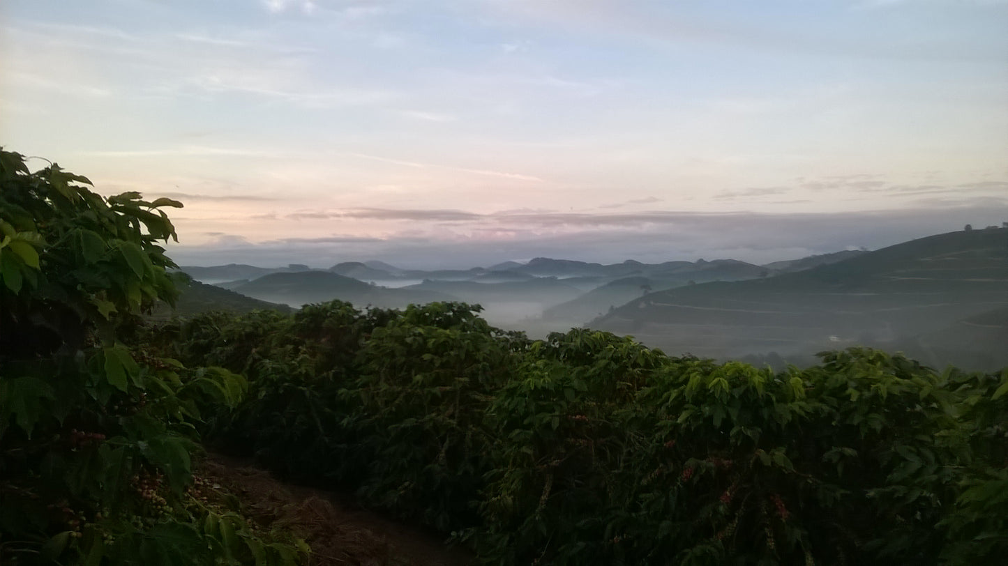 Brazil Espirito Santo